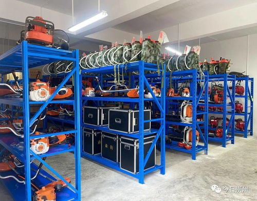 聆聽森林的私語 光學(xué)器材的自然對話